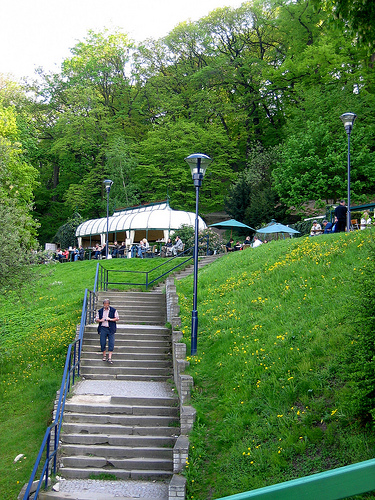 petrin3.jpg